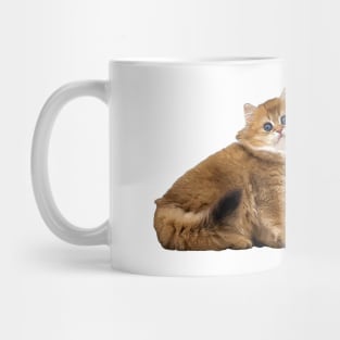 British Longhair Cat Kitten Mug